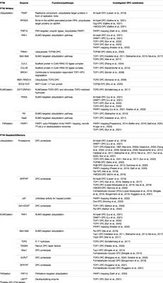 Targeting DNA-Protein Crosslinks via Post-Translational Modifications